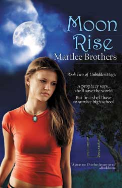 Moon Rise by Marilee Brothers