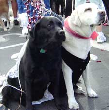 Mauli and Zeke at their wedding